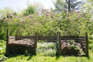 lilacs and compost